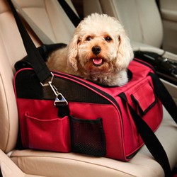 Asiento de coche grande Transportín Gato Perro Mascota Cachorro Jaula de  viaje Booster Belt Bag
