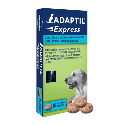 Adaptil Express Comprimidos