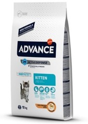 Advance cat kitten chicken & rice pienso para gatos