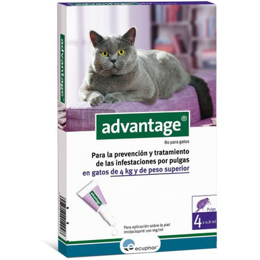 Advantage 80 gato 4 pip (+4kg) antiparasitario para perros