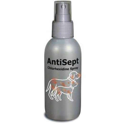 Antisept 100 ml (Clorhexidina Spray)