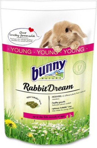 Bunny Conejo Sueño Joven
