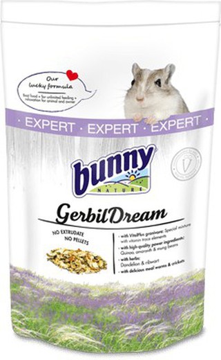 Bunny Gerbo Sueño Expert