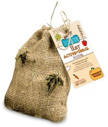 Bunny Heno Active Snack Jardin