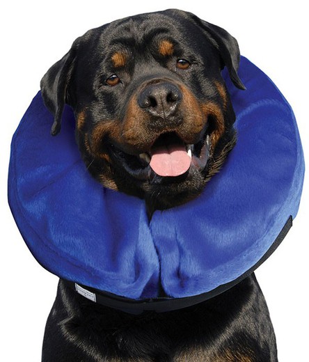 Buster collar inflable para perros