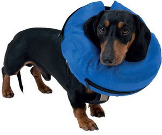 Buster collar inflable pvc para perros