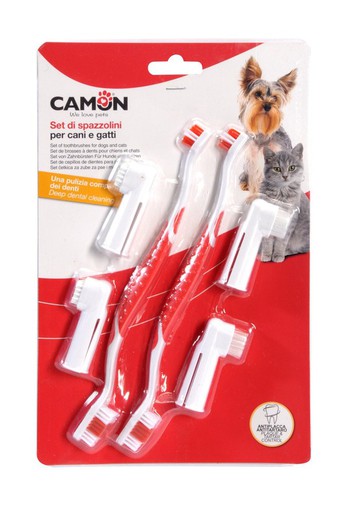 Camon Set Higiene Dental