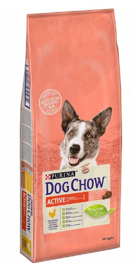 Dog Chow Active pollo pienso para perros