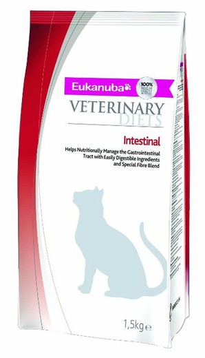 Eukanuba intestinal formula gatos dieta especial