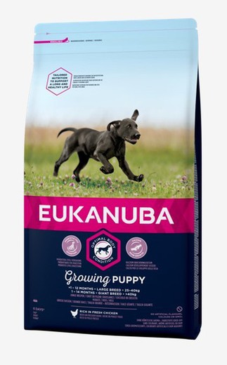 Eukanuba Puppy Razas Grandes pienso para perros