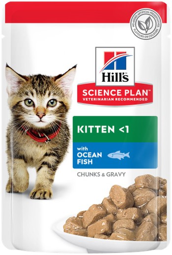 Hill's feline kitten pescado sobres comida húmeda comida húmeda para gatos