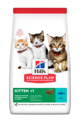 Hill's kitten healthy development atún gatitos pienso para gatos