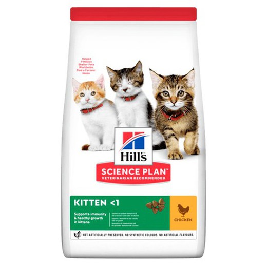 Hill's kitten healthy development pollo gatitos pienso para gatos