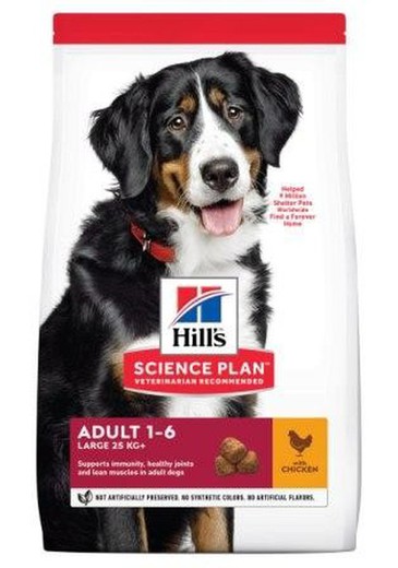 Hill's SP Adult Razas Grandes con Pollo pienso para perros