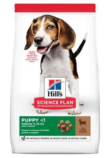 Hill's SP Puppy Healthy Development Cordero y Arroz pienso para perros