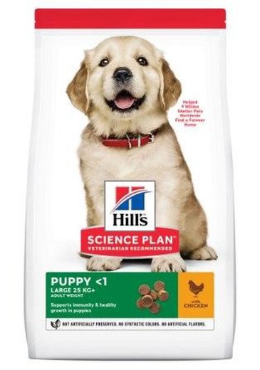 Hill's SP Puppy Healthy Development Razas Grandes con Pollo pienso para perros