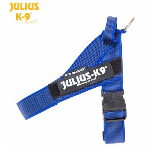Julius arnes de cintas azul para perros