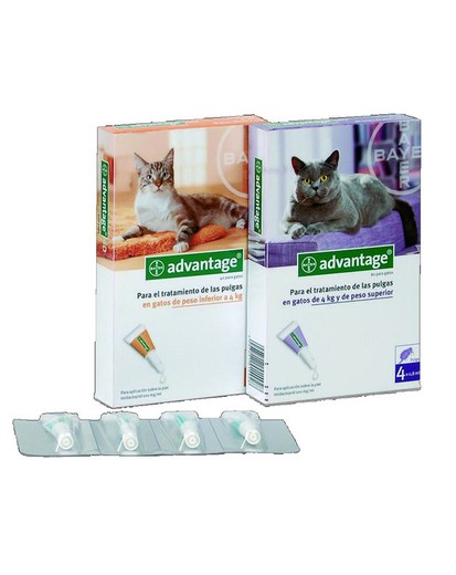 Pipeta antipulgas para gatos Advantage