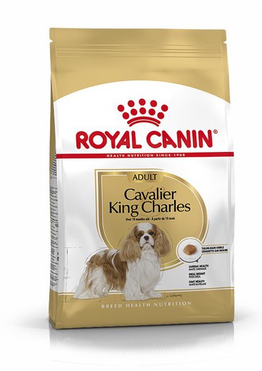 Royal canin CAVALIER king Charles pienso para perros