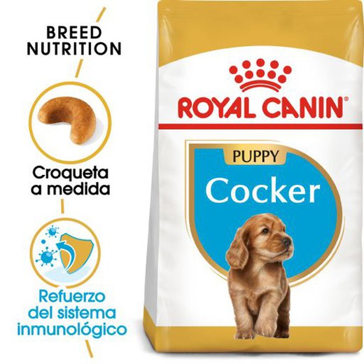 Royal Canin Cocker Junior pienso para perros