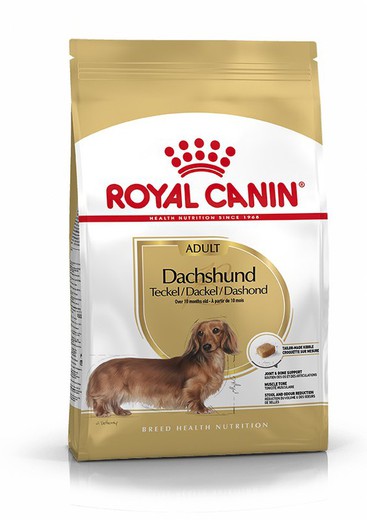 Royal canin DACHSHUND Teckel pienso para perros