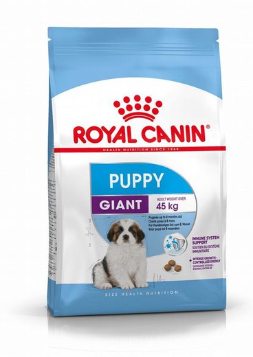 Royal Canin Giant Puppy pienso para perros