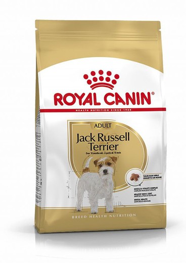 Royal canin JACK RUSSELL ADULT pienso para perros