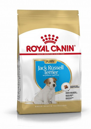 Royal canin JACK RUSSELL JUNIOR pienso para perros