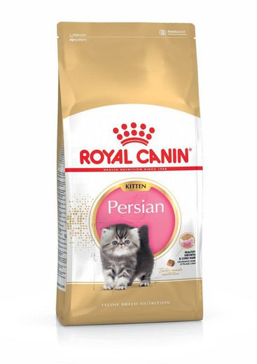 Royal canin kitten persian pienso para gatos