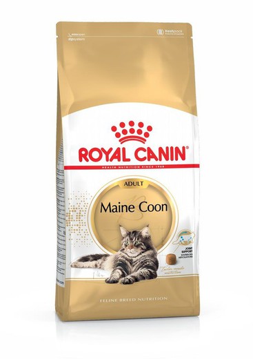 Royal canin maine coon pienso para gatos