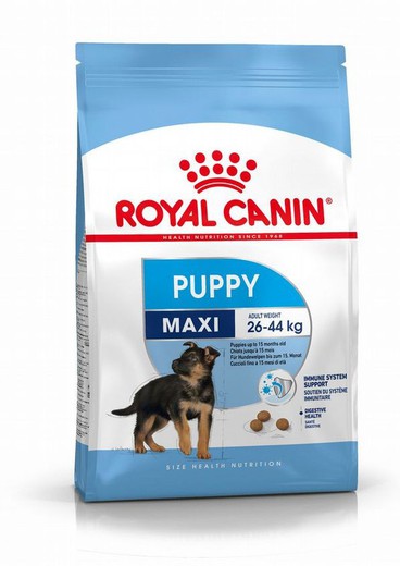 Royal canin MAXI JUNIOR pienso para perros