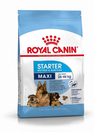 Royal canin MAXI STARTER pienso para perros