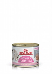 Royal canin mother babycat 12 latas comida húmeda para gatos