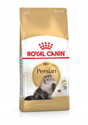 Royal canin persian pienso para gatos