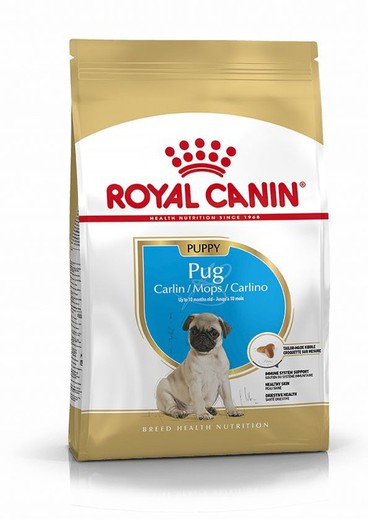 Royal canin PUG 25 Carlino Junior pienso para perros
