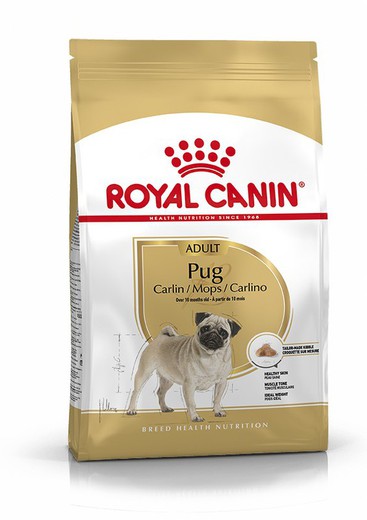 Royal canin PUG  Carlino pienso para perros
