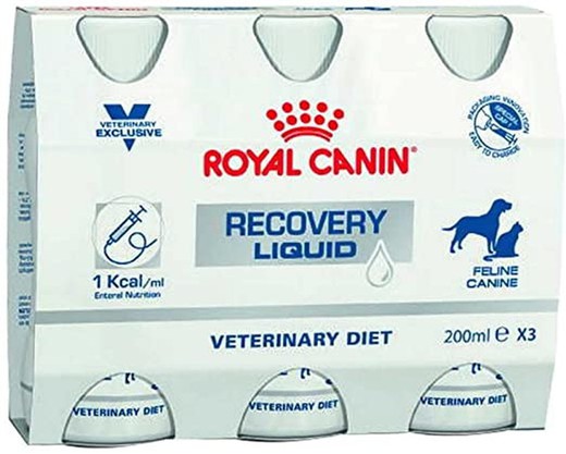 Royal canin recovery liquid canine/ feline 3x200ml pienso para perros dieta especial