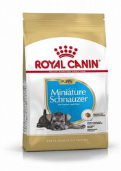 Royal canin SCHNAUZER JUNIOR pienso para perros