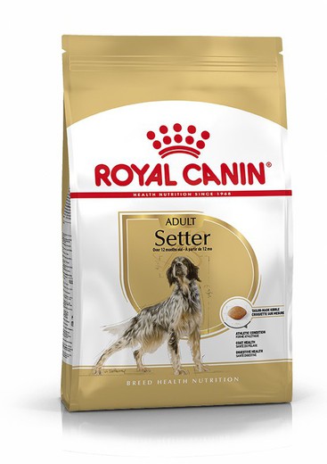 Royal canin SETTER 27 pienso para perros