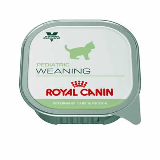 Royal canin wet vet cat pediatric weaning húmedo dieta especial
