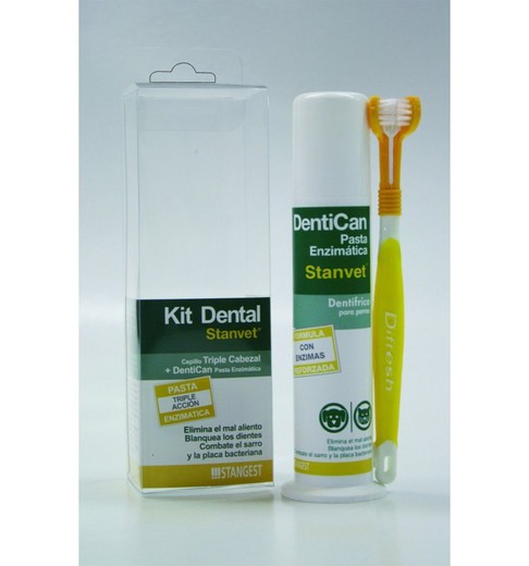 Stangest Kit Dental (Cepillo+Pasta 100 g)