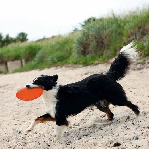 Trixie Frisbee Juguete para Perro