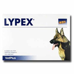 Vetplus Lypex Blister 60 Cds