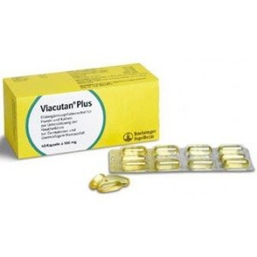 Viacutan Plus 4X10 Caps 550 mg
