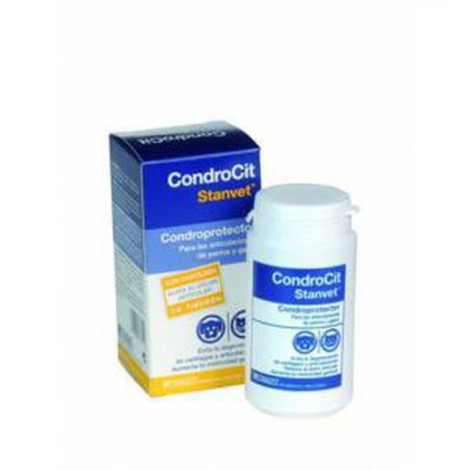Stangest Condrocit 60 Cds